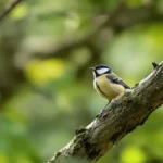 Featured image placeholder 16:9